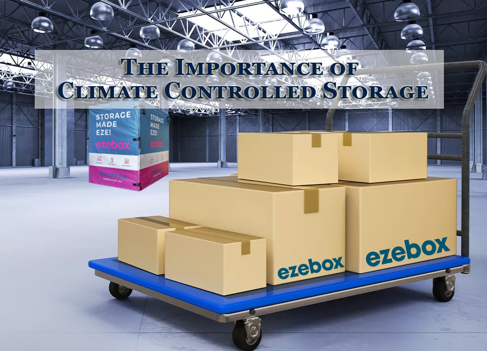 Why Climate-Controlled Storage Is a Ripper Idea for Long-Term Protection
