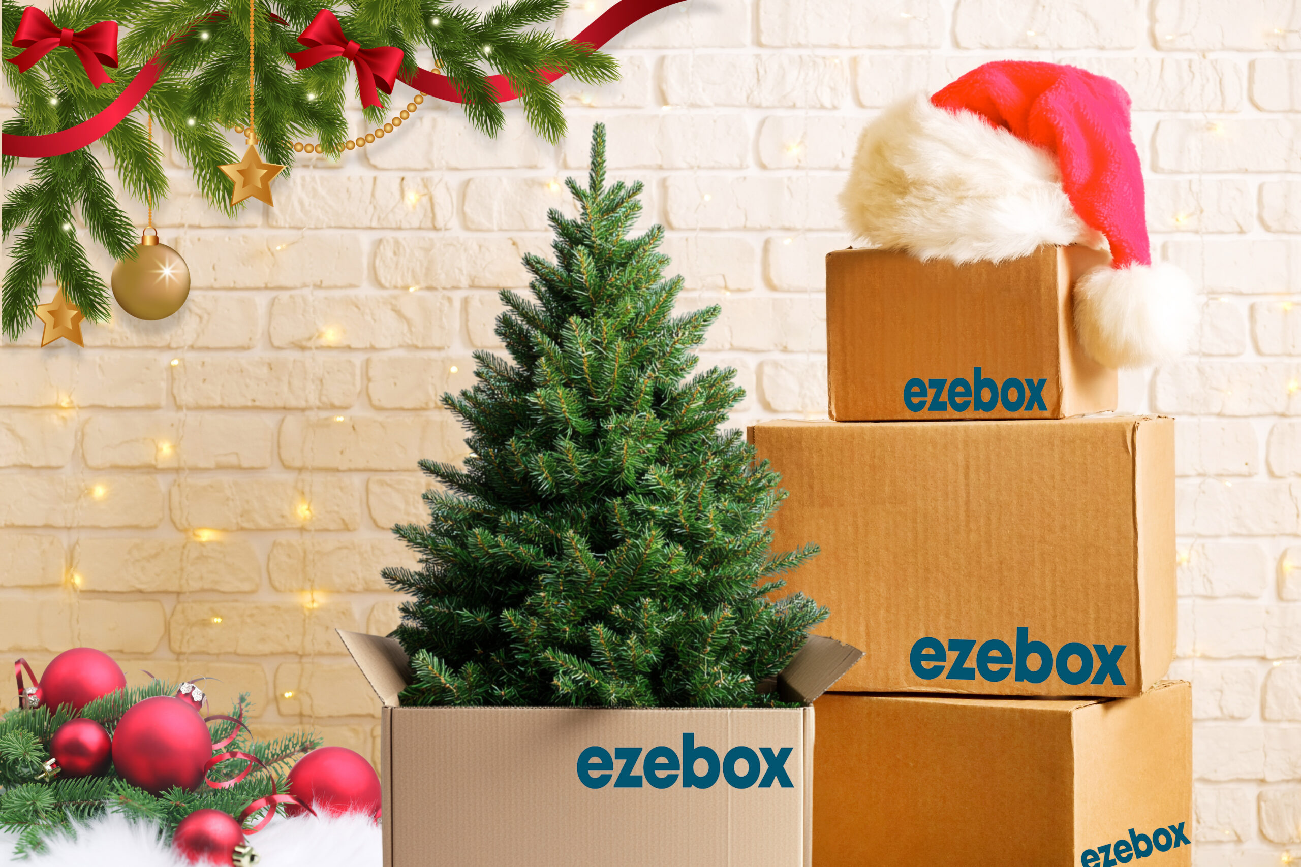 Why Storage is a Ripper Idea This Christmas